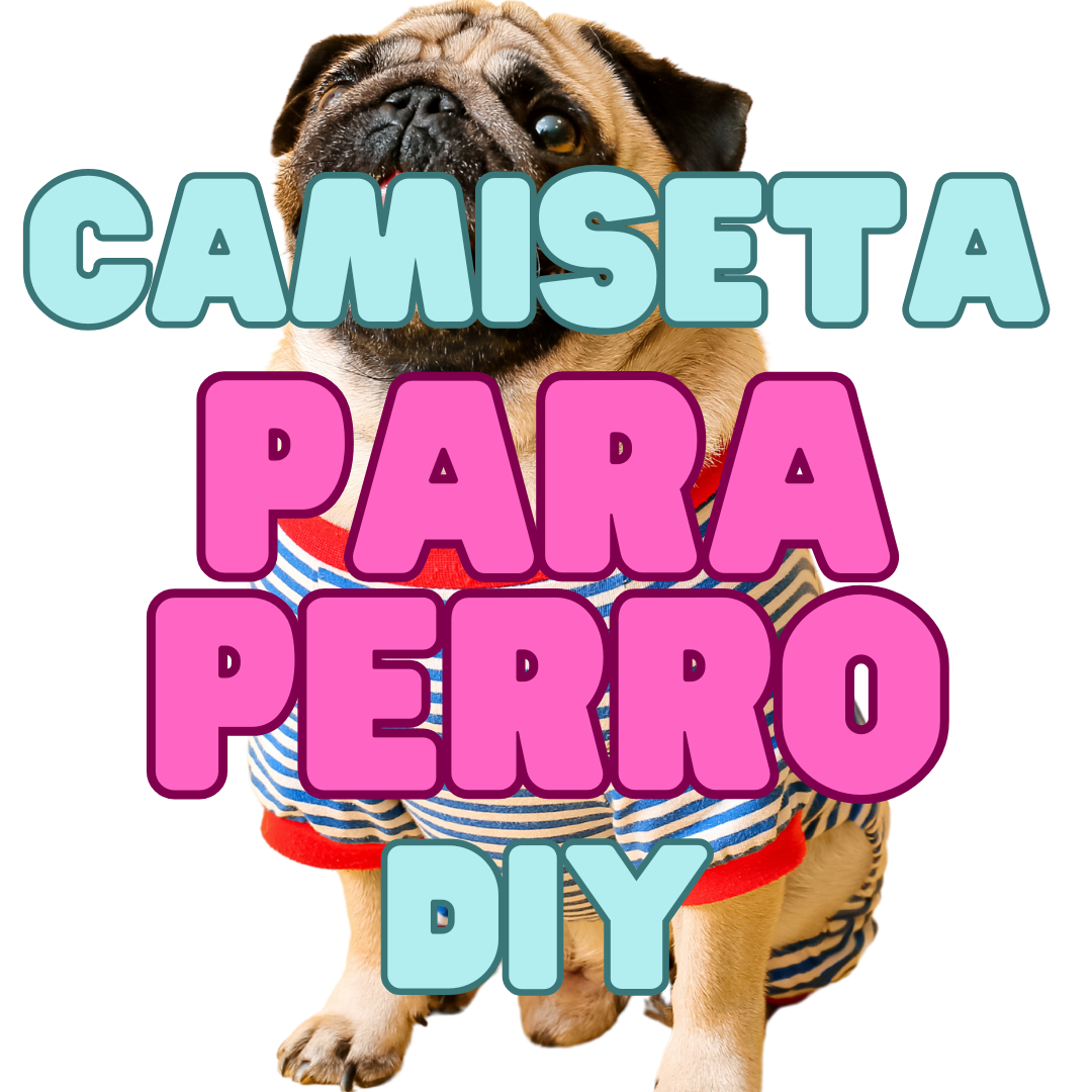 camiseta para perros diy